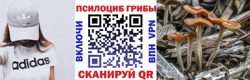 Псилоцибиновые грибы ЛСД  Сургут 